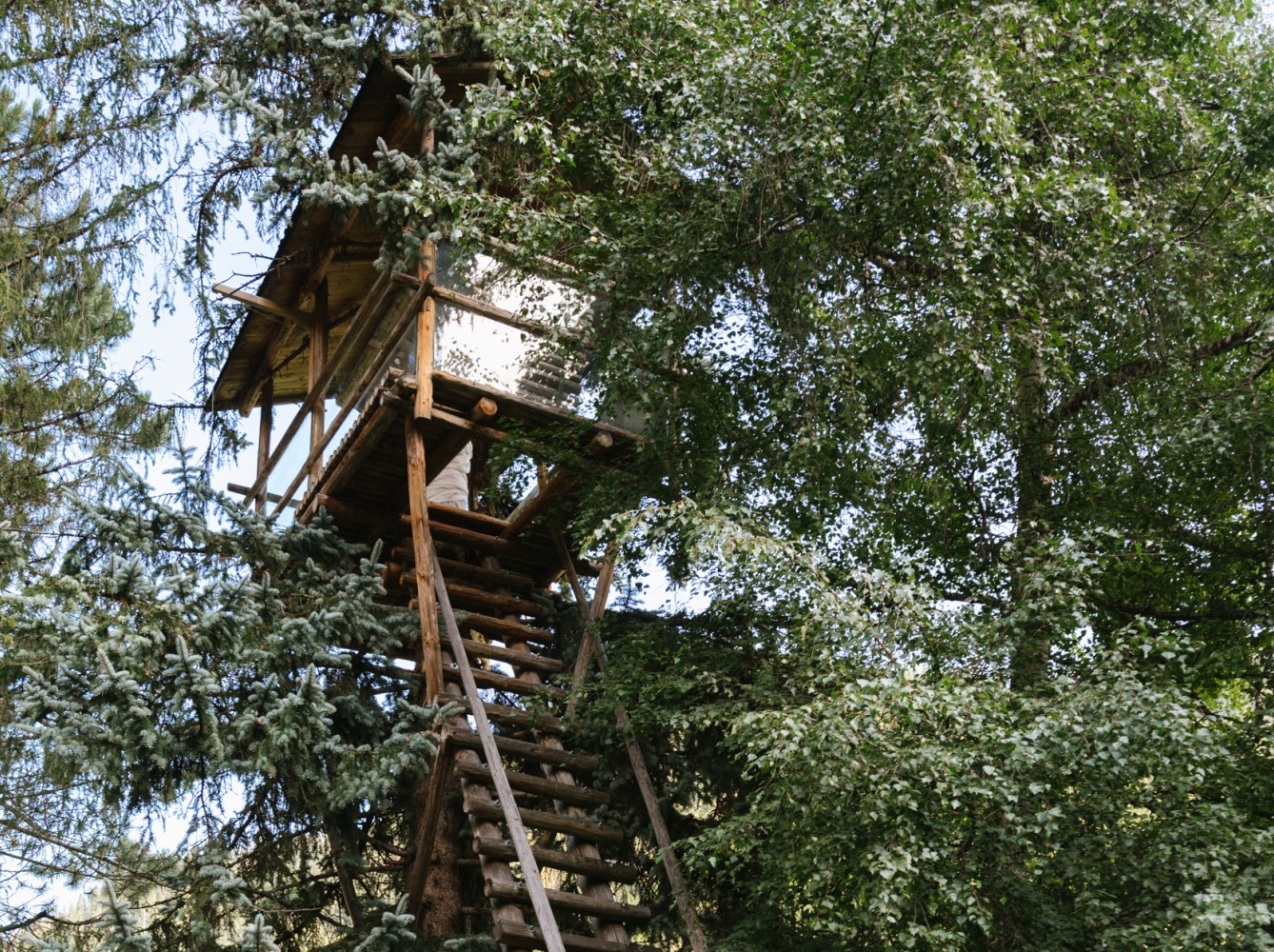 Casa sull'albero Casa sull'albero
